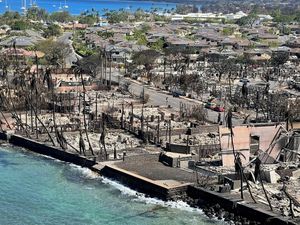 Turis Out! Hotel Maui Mau Disulap Jadi Penampungan Warlok Turis Out! Hotel Maui Mau Disulap Jadi Penampungan Warlok