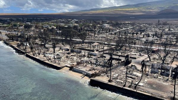 Foto Udara Kondisi Kota di Hawaii, Seperti Zona Perang!