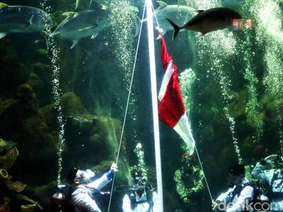 Kemeriahan Sea World Ancol Jelang HUT RI