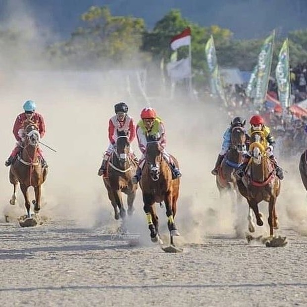 Pacu Kude/ Foto: Pacu Kude