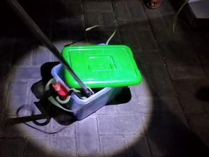 Geger Dosen di Karanganyar Dikirimi Paket Berisi Belasan Ular Geger Dosen di Karanganyar Dikirimi Paket Berisi Belasan Ular