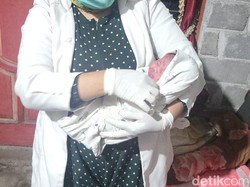 Bayi Tanpa Kain Pembungkus Ditemukan di Dapur Rumah Warga Kediri