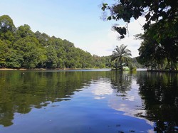 Wisata Alam Situ Gede Bogor: Ada Perahu Bebek!