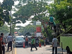 Ada Tiang Utilitas Miring, Lalin Lebak Bulus Arah Ciputat Tangsel Macet Parah