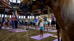 Keseruan Warga AS Ikut Kelas Yoga di Kandang Kuda