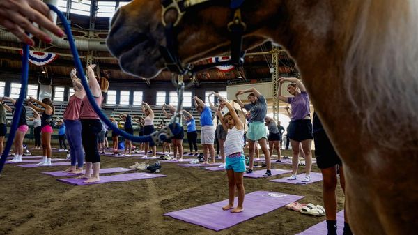 Keseruan Warga AS Ikut Kelas Yoga di Kandang Kuda