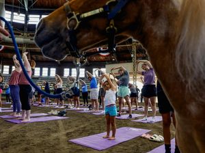 Keseruan Warga AS Ikut Kelas Yoga di Kandang Kuda