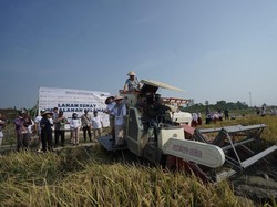 Bakar Jerami Bahayakan Pengendara di Tol, Petani Bisa Lakukan Ini Lho