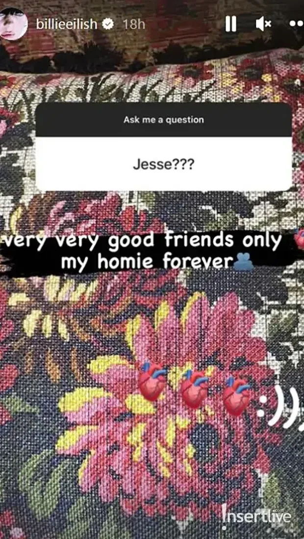 INSTA STORY BILLIE EILLISH