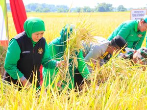 Gubernur Khofifah Bagi Resep Jatim Jadi Penghasil Padi Terbesar se-Indonesia