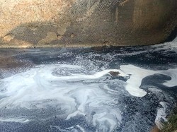 Miris! Air Sungai Cilamaya Karawang Hitam dan Bau Busuk