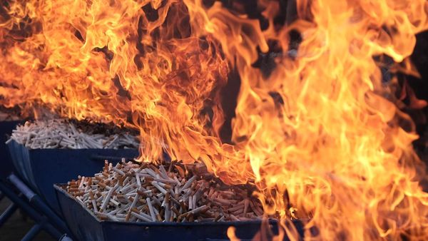 Rokok Ilegal Senilai Rp 3,4 Miliar Dimusnahkan