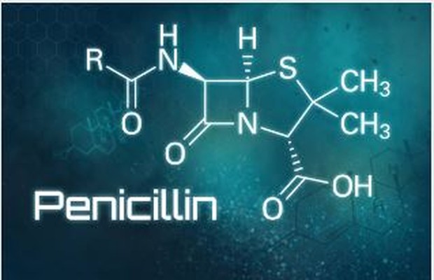 Penemuan penisilin/Foto: Istockphoto/Zerbor Penemuan penisilin/Foto: Istockphoto/Zerbor