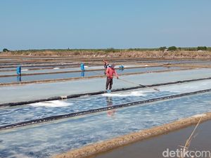 Curhat Petani Kala Harga Garam Anjlok: Cuma Dapat Asinnya Saja!