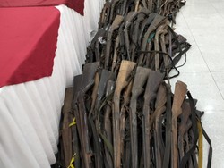 Satgas Temukan Tulang Belulang Badak Korban Perburuan di TN Ujung Kulon