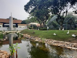 Wajah Baru Taman Burung TMII: Banyak Satwa Baru, View Makin Hijau