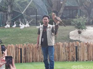 Seusai Direvitalisasi, Jagat Satwa Nusantara Banyak Diminati Pengunjung Seusai Direvitalisasi, Jagat Satwa Nusantara Banyak Diminati Pengunjung