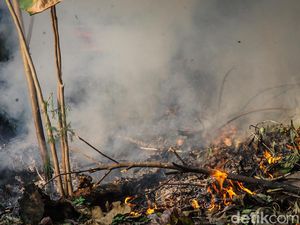 Tetangga Sering Bakar Sampah dan Ganggu, Bisa Dilaporin Nggak Sih?