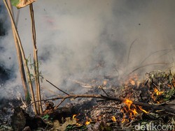 Tetangga Sering Bakar Sampah dan Ganggu, Bisa Dilaporin Nggak Sih?