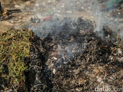 Bakar Sampah Sampai Ganggu Tetangga, Begini Hukumnya dalam Islam