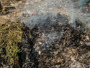 Bakar Sampah Sampai Ganggu Tetangga, Begini Hukumnya dalam Islam Bakar Sampah Sampai Ganggu Tetangga, Begini Hukumnya dalam Islam