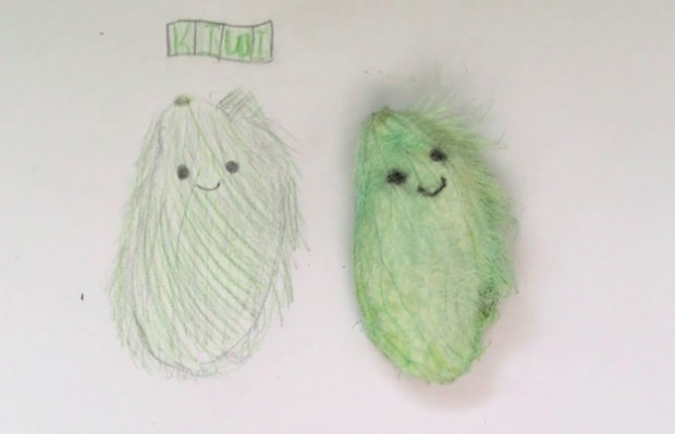 Tren memelihara biji mangga/Foto: Detik.com/xiaohongshu Tren memelihara biji mangga/Foto: Detik.com/xiaohongshu