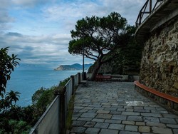 Gila! Renovasi Jalan Cinta Capai Rp 400 M!