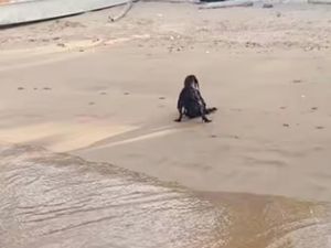 Viral Video Penampakan Setan Hitam di Pantai Bikin Heboh Viral Video Penampakan Setan Hitam di Pantai Bikin Heboh