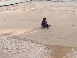 Viral Penampakan Setan Hitam Ini Ternyata Ujungnya Bikin Ngakak