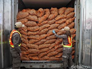 Ekspor Pertanian Capai Rp 552,4 T Jadi Andalan Perekonomian Nasional