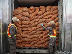 Ekspor Pertanian Capai Rp 552,4 T Jadi Andalan Perekonomian Nasional