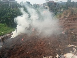 Lurah Kerahkan Ekskavator Tangani Limbah Cabai di Setu Tangsel