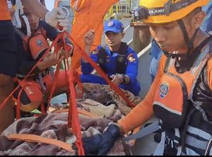 Kapal AB Olivia Singapura Terbakar, 2 Warga Vietnam Dievakuasi ke Bangka Kapal AB Olivia Singapura Terbakar, 2 Warga Vietnam Dievakuasi ke Bangka