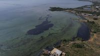 Danau Terbesar di Amerika Latin Tercemar Parah, Begini Kondisinya