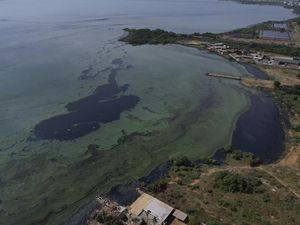 Danau Terbesar di Amerika Latin Tercemar Parah, Begini Kondisinya