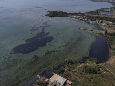 Danau Terbesar di Amerika Latin Tercemar Parah, Begini Kondisinya