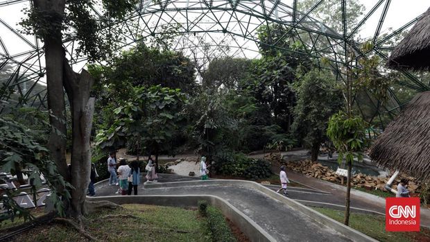 Suasana dan koleksi burung di Taman Burung Jagat Satwa Nusantara, Taman Mini Indonesia Indah (TMII), Jakarta, Kamis, 17 Agustus 2023. Taman Burung Jagat Satwa Nusantara telah menyelesaikan proses revitalisasi selama tiga bulan dan siap menerima kunjungan masyarakat tepat pada tanggal 17 Agustus mendatang. CNN Indonesia/Safir Makki