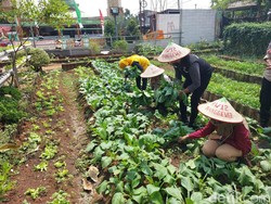 Cegah Peredaran Narkoba, Polisi Ajak Warga Bogor Berkebun Hidroponik