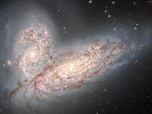 Sinyal Radio Misterius Terdeteksi Bumi Setelah 8 Miliar Tahun, Siapa Pengirimnya? Sinyal Radio Misterius Terdeteksi Bumi Setelah 8 Miliar Tahun, Siapa Pengirimnya?