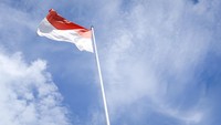 Syarat Lepas Status WNI: Tak Terjerat Hukum, Bukan Penunggak Pajak