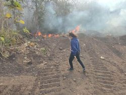 Hutan di Bukit Bentar Probolinggo Terbakar