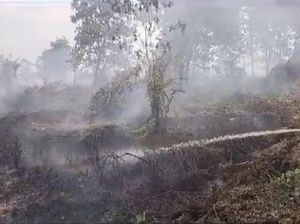 Luas Lahan Terbakar di Kalbar Capai 5,7 Hektare, Diduga Sengaja Dibakar
