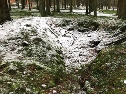 Teknologi LiDAR Ungkap Ngerinya Pertempuran Bulge Perang Dunia 2