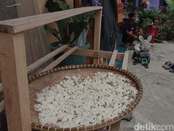 Hujan Membuat Serbuan Lalat Kian Menggila di Gunung Jambe Tasikmalaya