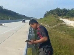 Anjing Berburu Masuk Tol Pekanbaru-Bangkinang saat Kejar Babi