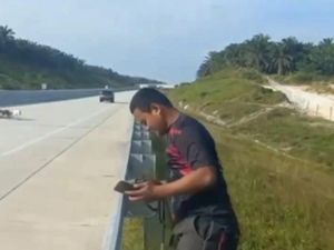 Anjing Berburu Masuk Tol Pekanbaru-Bangkinang saat Kejar Babi Anjing Berburu Masuk Tol Pekanbaru-Bangkinang saat Kejar Babi
