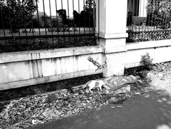 Pria Tewas Bersimbah Darah di Jaksel Ternyata Dibunuh Perampok