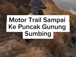 Rombongan Trail Trabas Sampai Puncak Gunung Sumbing, Perhutani: Dilarang!
