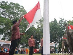 Lucunya Gajah Sumatera Kibarkan Bendera di Upacara HUT RI
