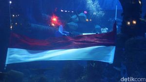 HUT RI, Bendera Sepanjang 25 Meter Dikibarkan di Aquarium Raksasa